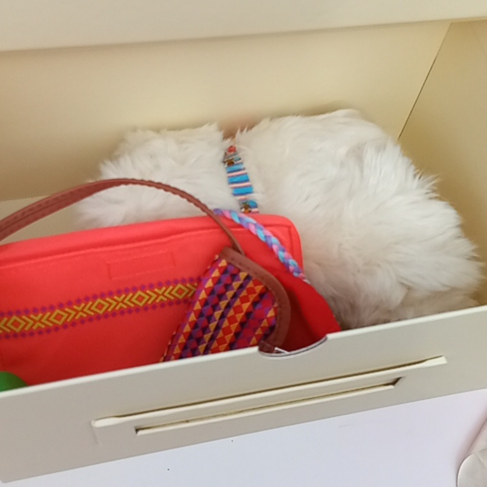 American Girl Keepsake Box With Doll Clothes And Accessories - Picture 14 of 16